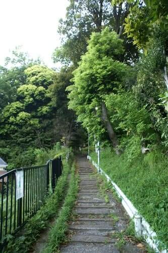 林間散策路の階段