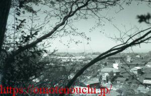 中部小学校と富士山