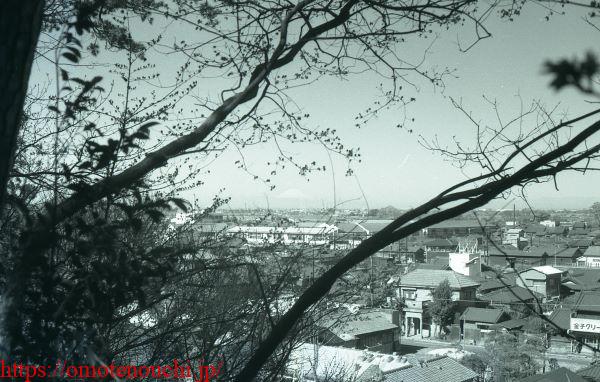 中部小学校と富士山