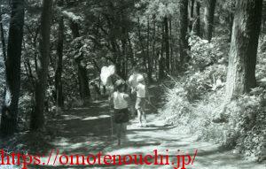 地獄坂から金毘羅様へ抜ける道