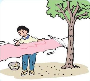 小平市の洗い張り